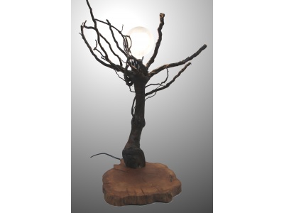 lampe-ambiance-pied-vigne-bois-teck-ampoule-fruticosa1-1