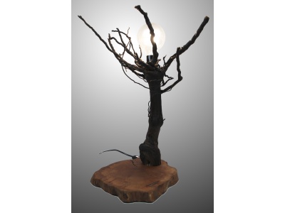 lampe-ambiance-pied-vigne-bois-teck-ampoule-fruticosa1-2