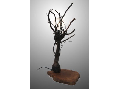 lampe-ambiance-pied-vigne-bois-teck-ampoule-fruticosa1-3