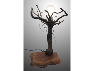 lampe-ambiance-pied-vigne-bois-teck-ampoule-fruticosa2-2