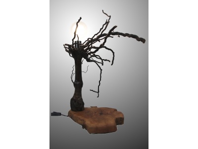 lampe-ambiance-pied-vigne-bois-teck-ampoule-fruticosa3-2