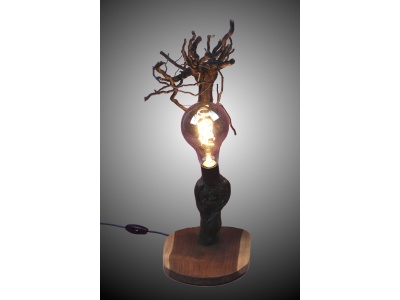 lampe-ambiance-pied-vigne-bois-teck-ampoule-radix1-f