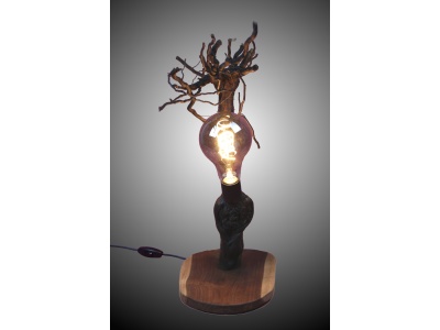 lampe-ambiance-pied-vigne-bois-teck-ampoule-radix1-f