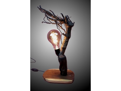 lampe-ambiance-pied-vigne-bois-teck-ampoule-radix1-pd