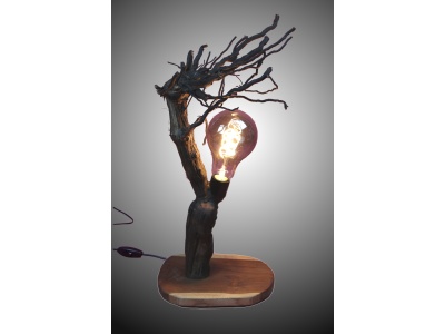 lampe-ambiance-pied-vigne-bois-teck-ampoule-radix1-pg