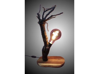 lampe-ambiance-pied-vigne-bois-teck-ampoule-radix2-pg