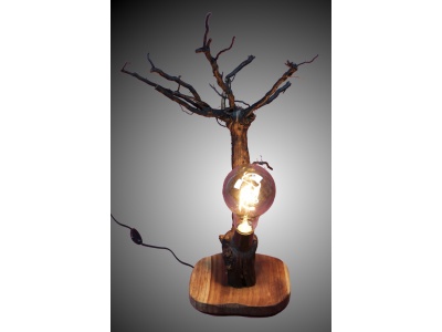 lampe-ambiance-pied-vigne-bois-teck-ampoule-radix3-f