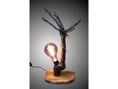 lampe-ambiance-pied-vigne-bois-teck-ampoule-radix3-pd