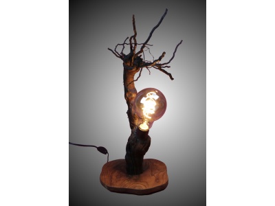 lampe-ambiance-pied-vigne-bois-teck-ampoule-radix4-f_1088234455