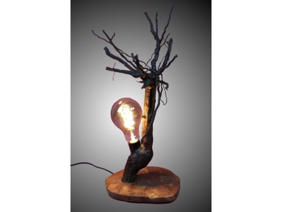 lampe-ambiance-pied-vigne-bois-teck-ampoule-radix5-pd