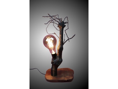 lampe-ambiance-pied-vigne-bois-teck-ampoule-radix6-pd