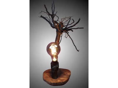 lampe-ambiance-pied-vigne-bois-teck-ampoule-radix7