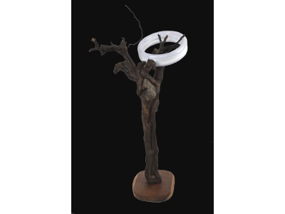 lampe-ambiance-pied-vigne-bois-teck-anneauxled-orbis-3