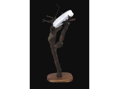 lampe-ambiance-pied-vigne-bois-teck-anneauxled-orbis-4