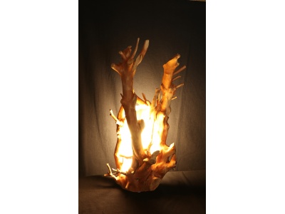 lampe-ambiance-racine-buis-allume1