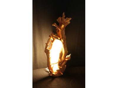 lampe-ambiance-racine-buis-allume2