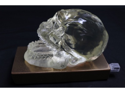 sculpture-crne-cristal-humain-rsine-socle-2
