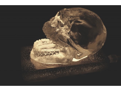 sculpture-crne-cristal-humain-rsine-socle-allum2_1325767551