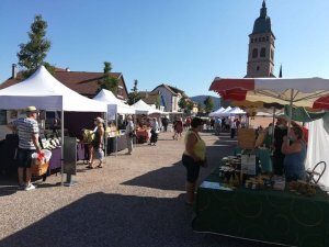 214715825_4060176534078806_2425046120005399856_n